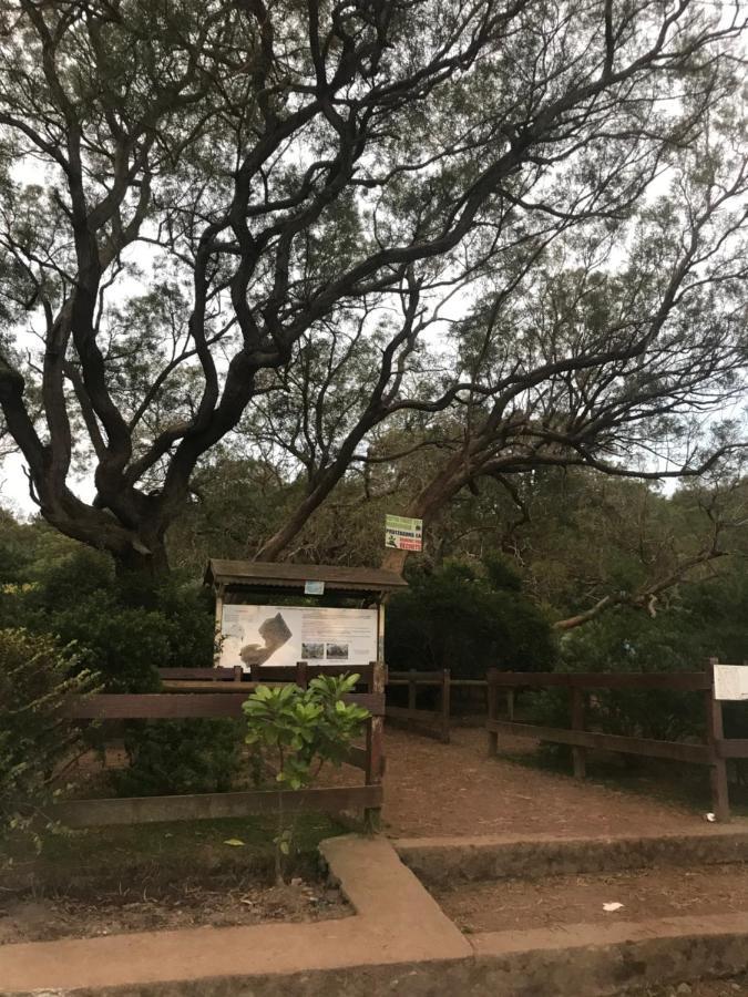 ti kaz Martin Dé O la Réunion Villa La Plaine des Cafres Exterior foto