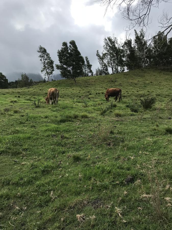 ti kaz Martin Dé O la Réunion Villa La Plaine des Cafres Exterior foto